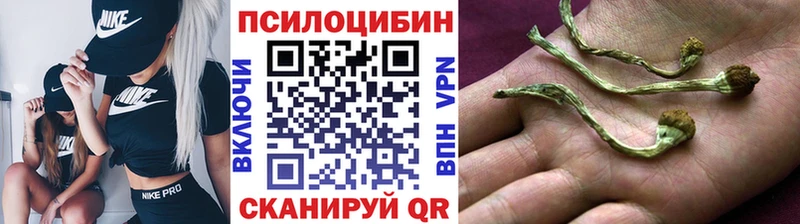 Псилоцибиновые грибы мухоморы  Калач-на-Дону 