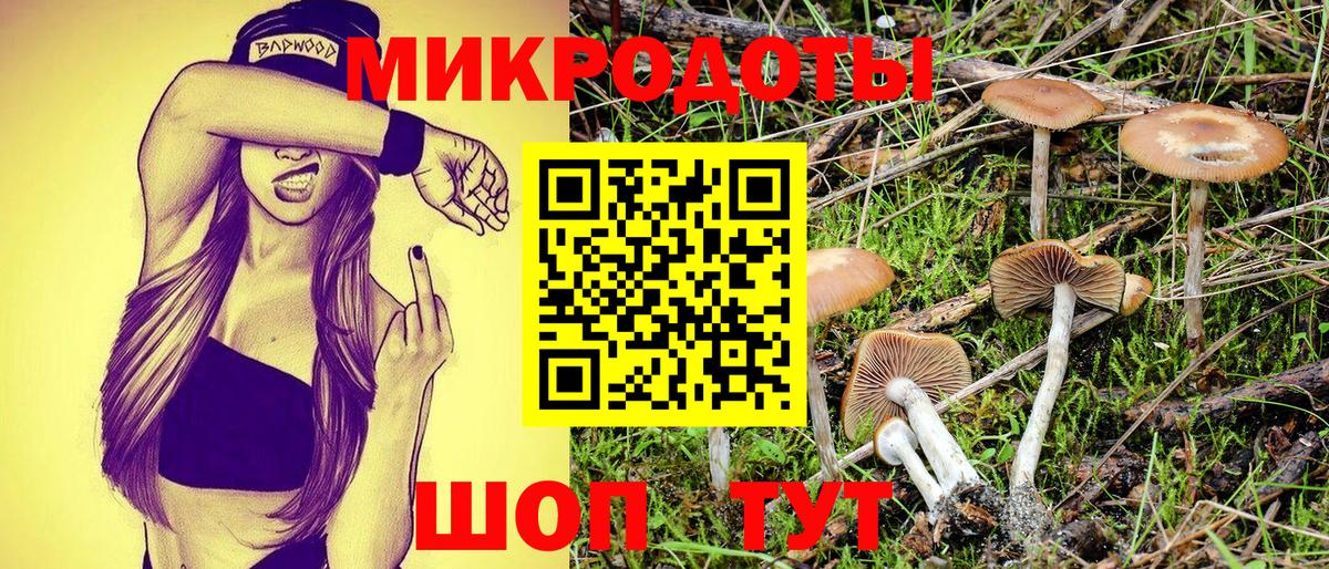 Галлюциногенные грибы мицелий Калач-на-Дону