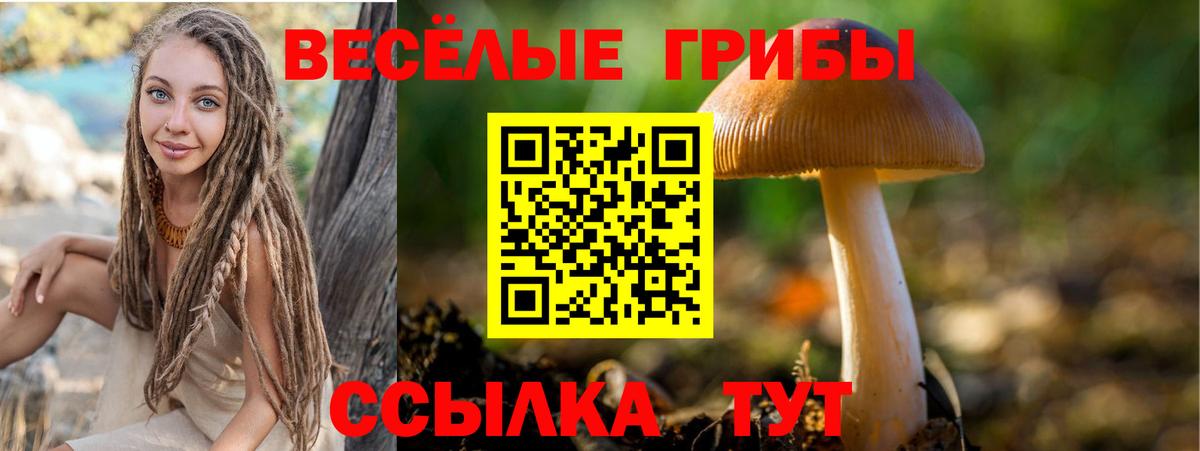 Псилоцибиновые грибы Magic Shrooms  Псилоцибиновые грибы ЛСД  Калач-на-Дону  Вход с VPN 
